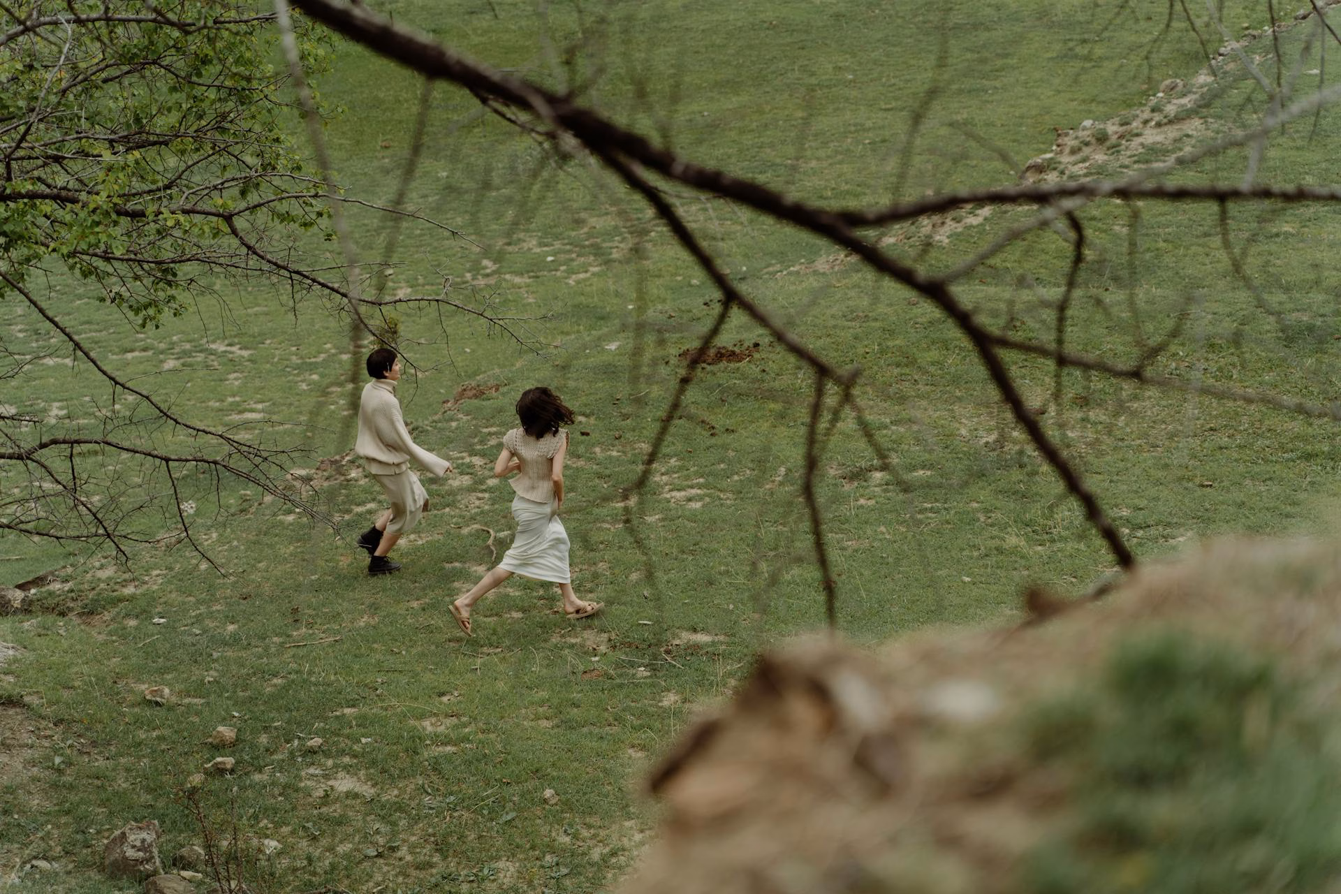 Fond nature